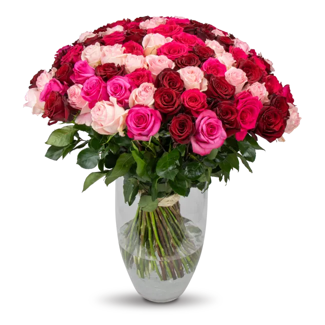 kytice ekvádorských růží 80 cm